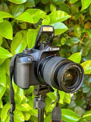 !!PERFECTA!! Canon EOS PRO 4000D + Canon 18-55mm