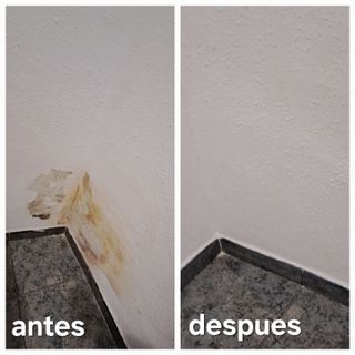 Manitas albañil carpintero pintor paleta reformas