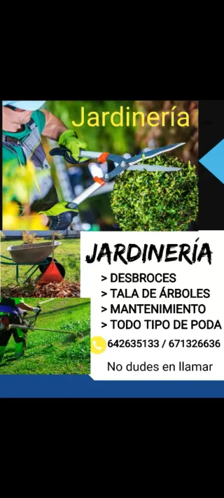 Limpieza de jardínes
