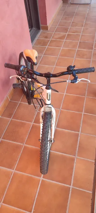 Bicicleta infantil CONOR WRC 206