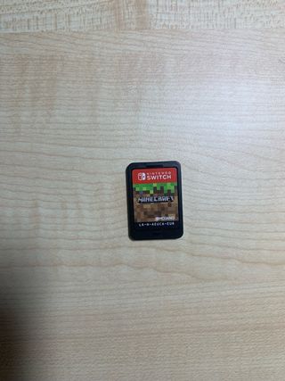 Minecraft Nintendo Switch