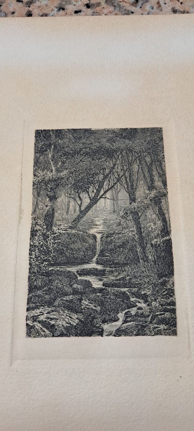 Arroyo - acquaforte di Tomás Campuzano y Aguirre