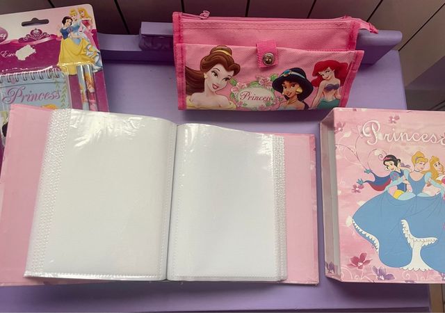 Lote Princesas Disney