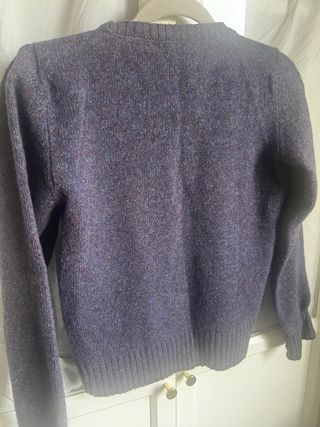 Jersey Lacoste azul marino y morado