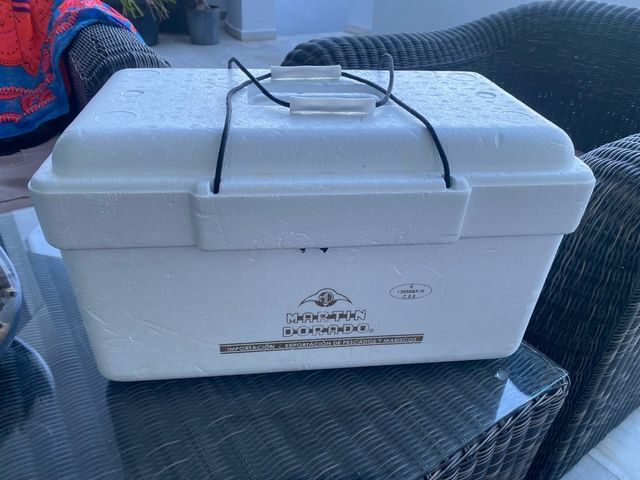 Nevera de pesca/camping/playa