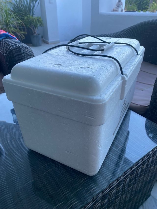 Nevera de pesca/camping/playa