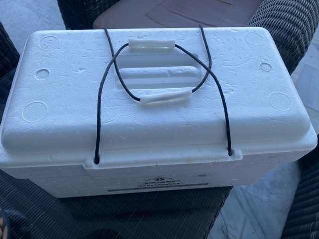 Nevera de pesca/camping/playa