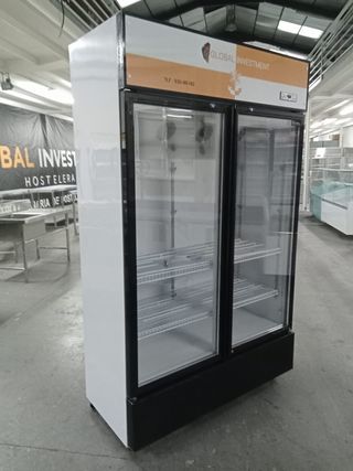 Nevera de bebidas 2 puertas