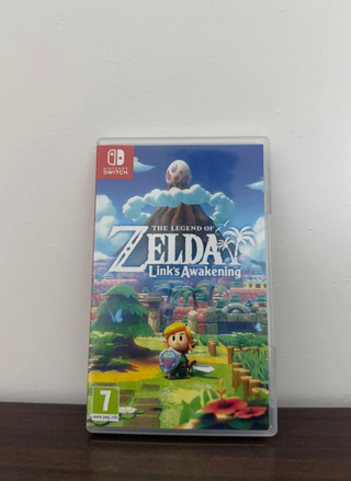 The Legend of Zelda Link's Awakening Switch