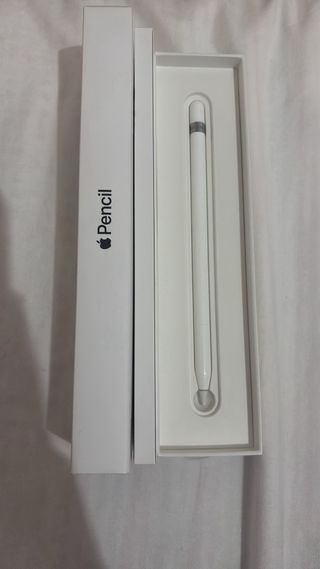 iPad 9ª gen Plata + Apple Pencil 1 gen