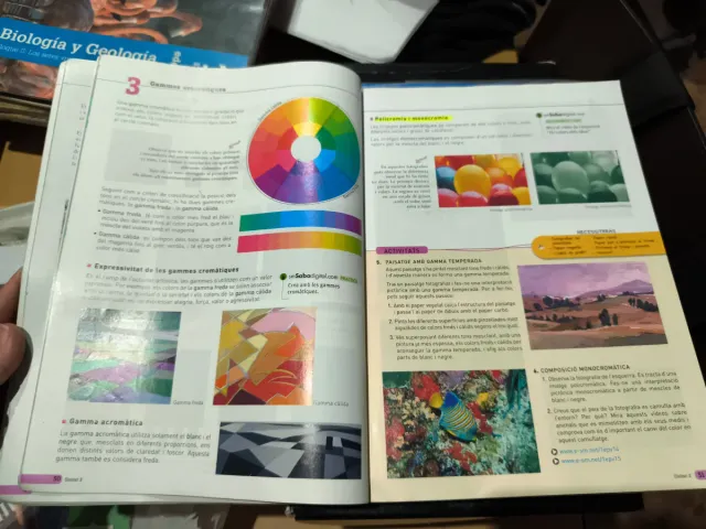 Educació plàstica, visual i audiovisual I. ESO....