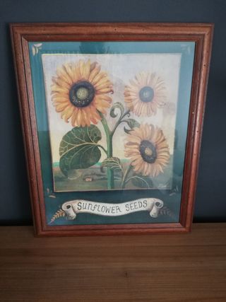 Cuadro Girasoles 47x57