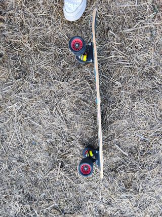Monopatín Surfskate con diseño de tigre