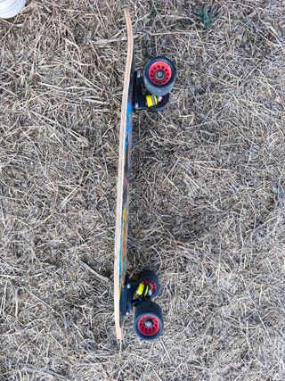 Monopatín Surfskate con diseño de tigre