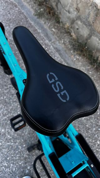 Bicicleta TERN GSD S10 azul 2018