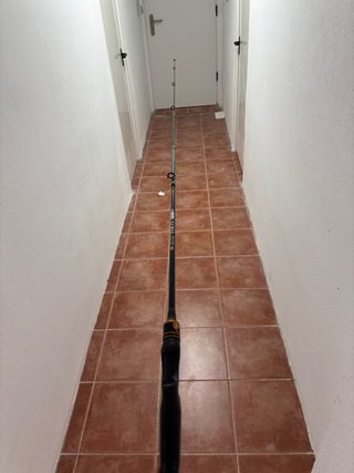 Caña de pescar