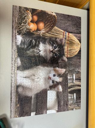 Puzzle 1000 Pezzi Clementoni Gattini