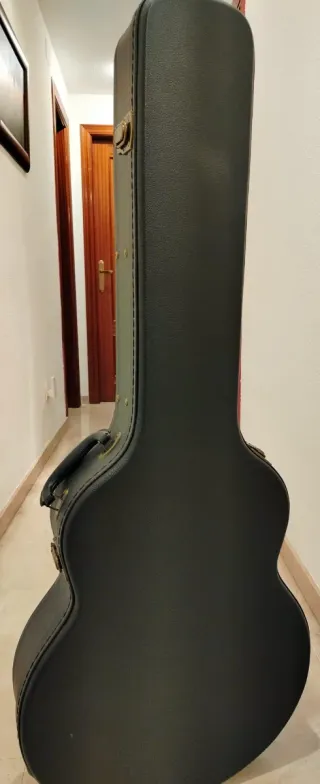 Guitarra Eléctrica Epiphone Dot ES 335 y más 