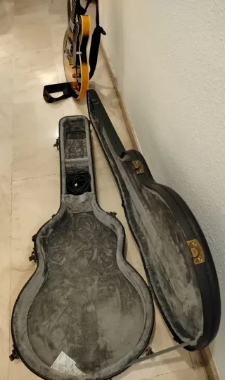 Guitarra Eléctrica Epiphone Dot ES 335 y más 