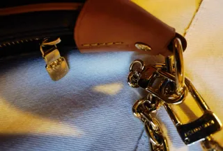 Bolso Louis Vuitton Marrón y Dorado