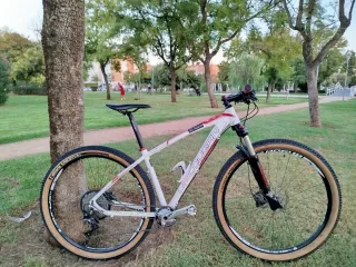 Lee Cougan Revenge 29