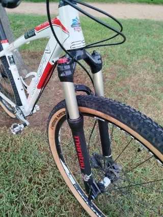 Lee Cougan Revenge 29