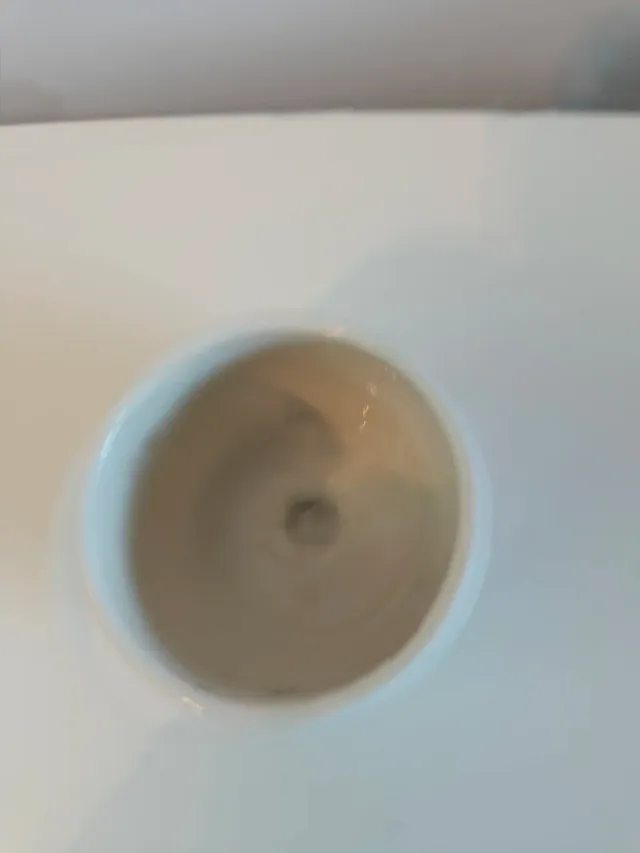 Figura decorativa de búho