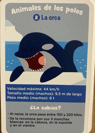 Juego de cartas de animales para niños