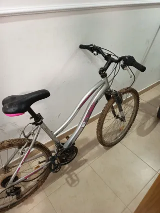Bicicleta de montaña plateada