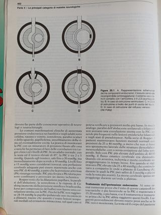 PRINCIPI DI NEUROLOGIA-R.D.ADAMS,M.VICTOR- Parte 4
