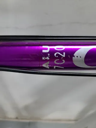 Bicicleta Eléctrica GAC de Aluminio