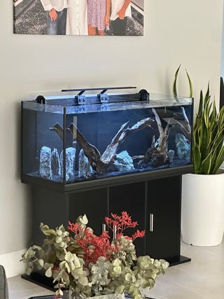 ACUARIO 200 LITROS