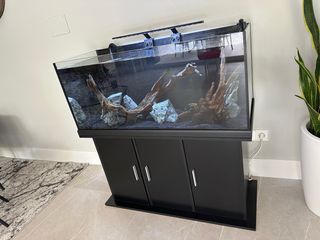 ACUARIO 200 LITROS