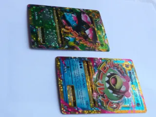2 Carte Pokemon M Slowbro EX + M Venusaur EX