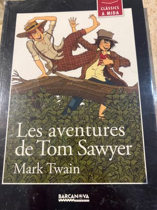 Les aventures de Tom Sawyer