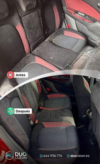Limpieza de Tapizados del hogar y coches