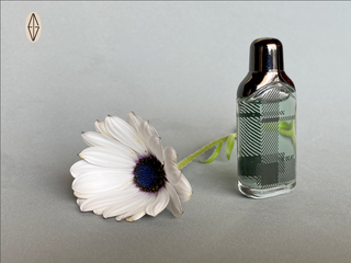 Miniatura fragancia THE BEAT, de Burberry