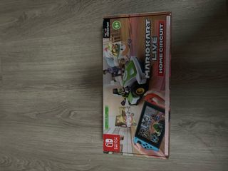 Mario Kart Live Home Circuit Luigi