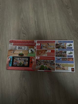 Mario Kart Live Home Circuit Luigi