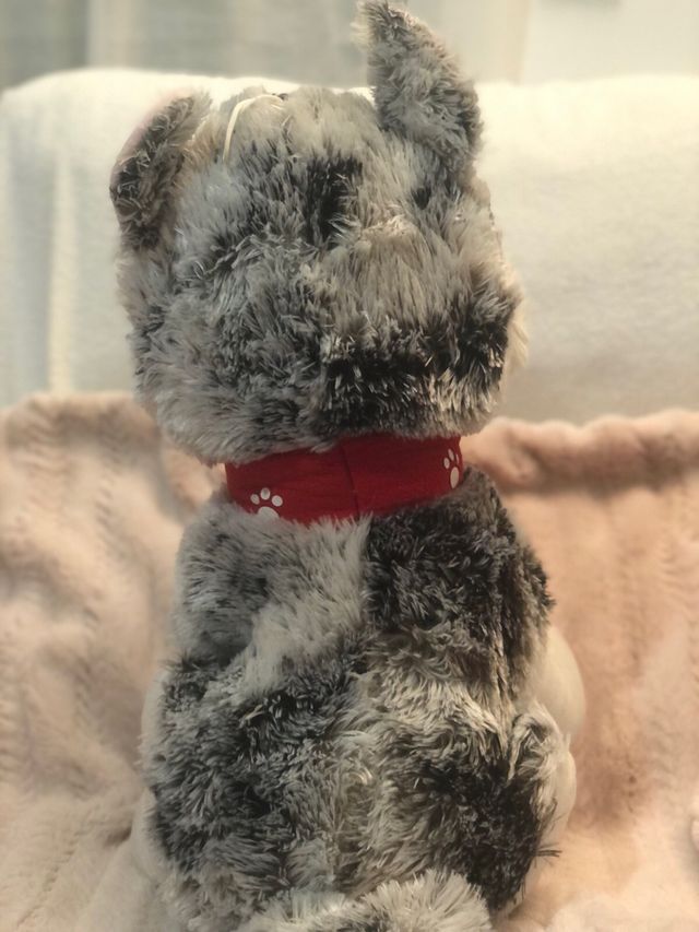 Peluche gigante de perro - Husky