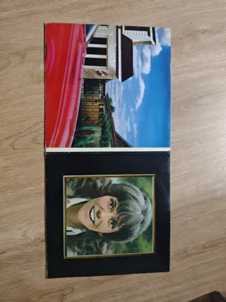 Vinilo Carpenters Now & Then