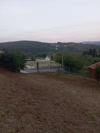 DESBROCE DE FINCAS,TALA Y PODA EN ALTURA