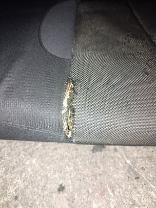 Asientos traseros León 2 FR