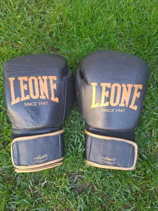 Guantes de Boxeo Leone Negros