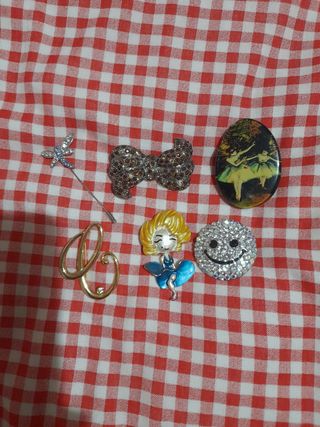 Lote 6 broches variados