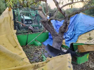 Máquina agrícola recolector de almendras