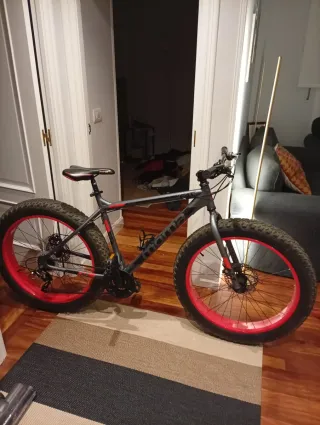 Bicicleta de montaña Fat Bike