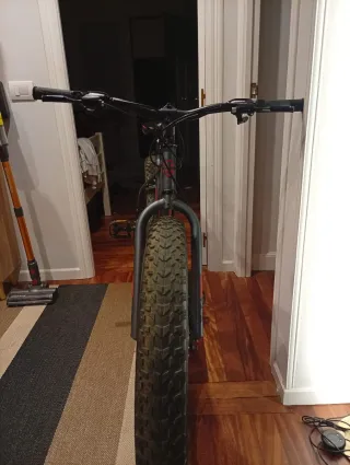 Bicicleta de montaña Fat Bike
