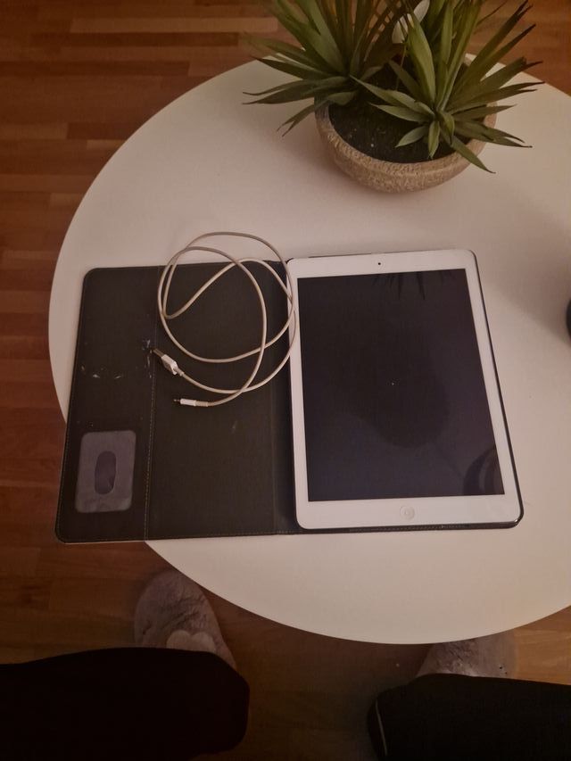 Apple iPad Blanco
