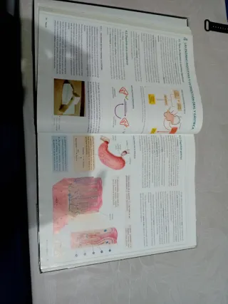 ANATOMIA APLICADA (AULA 3D)
